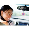 Tenna Tops Pink Daisy Flower Car Antenna Topper / Auto Dashboard Accessory 